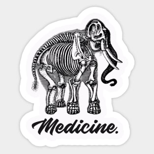 Medicine Anatomy Elephant - Medical Student in Medschool Sticker